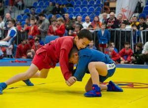 Турнир по самбо в Дубне