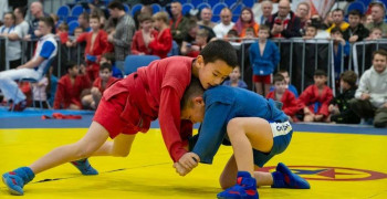 Турнир по самбо в Дубне