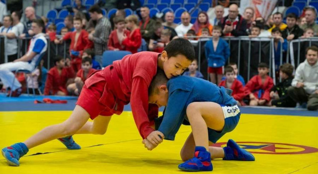 Турнир по самбо в Дубне