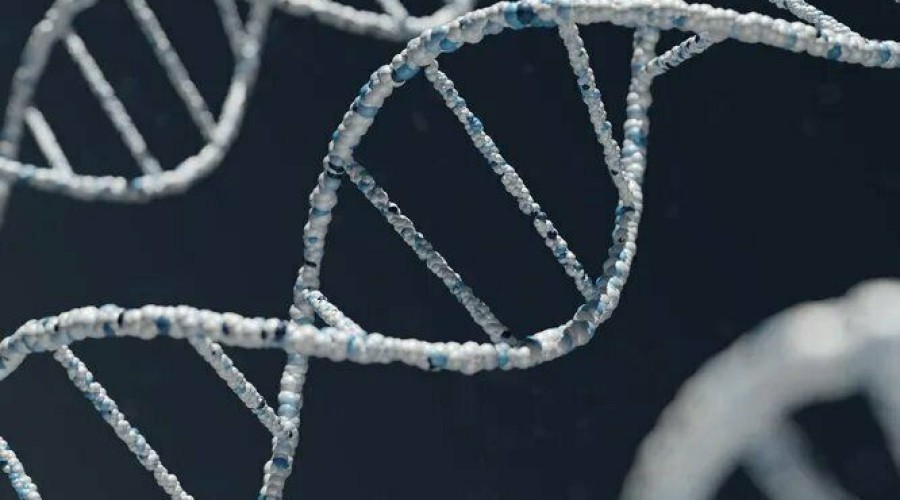 До чего дошла наука своими экспериментами с ДНК