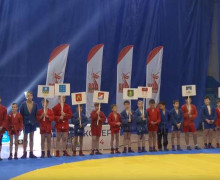 Турнир по самбо в Дубне