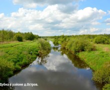 Фантастический путь или Венеция на болоте