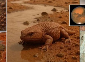 NASA представило самые веские доказательства существования жизни на Красной планете