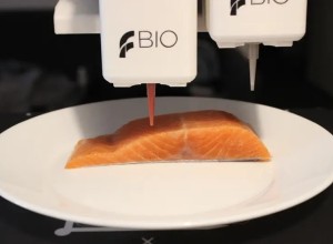 Мясо рыбы из-под 3D-принтера