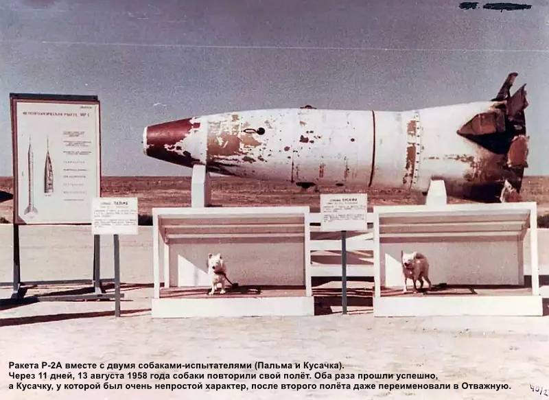 Ракета Р-2А вместе с двумя собаками-испытателями (Пальма и Кусачка).