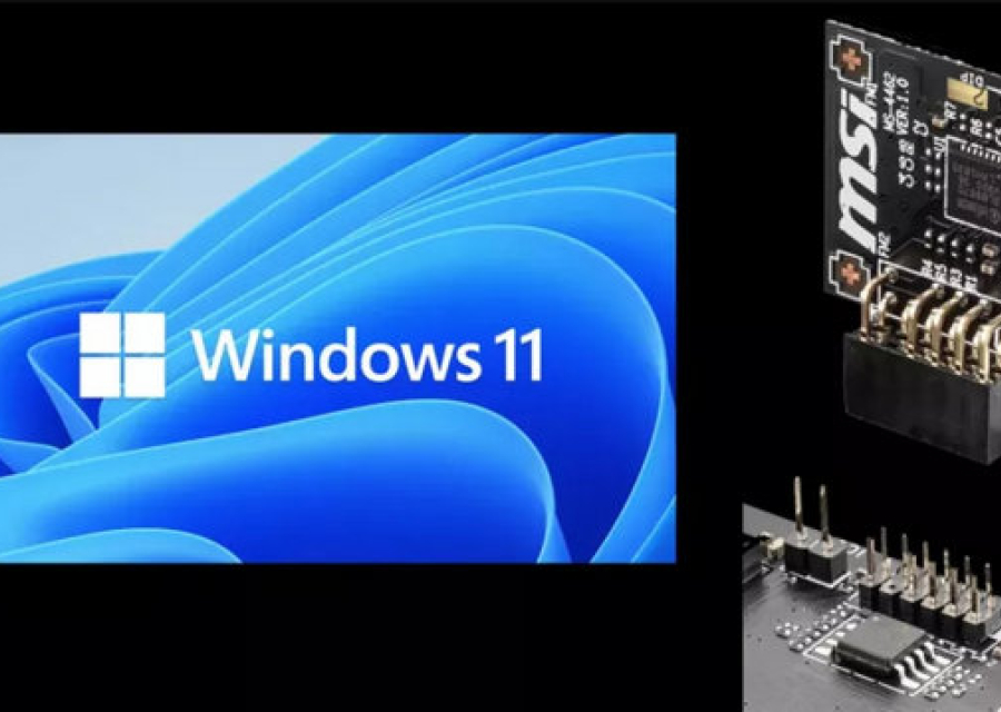 Microsoft выпустит официальные (специальные) сборки Windows 11 для установки без TPM