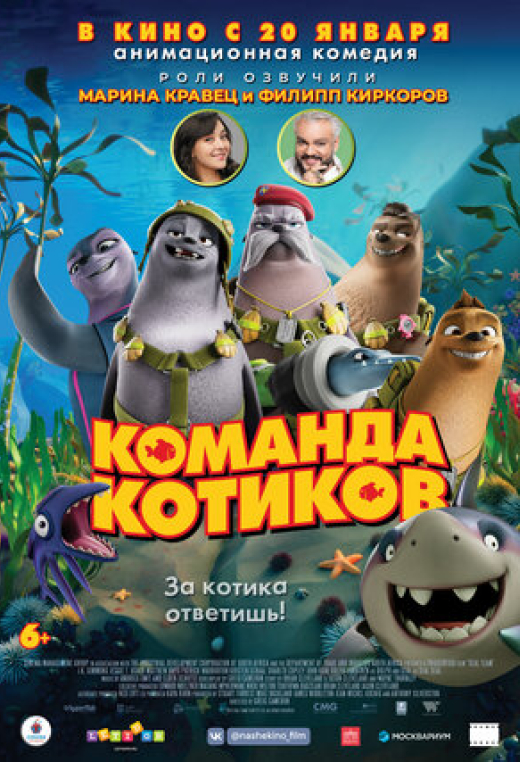 Команда котиков