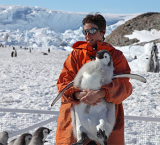 Существует ли профессия переворачивателя пингвинов?