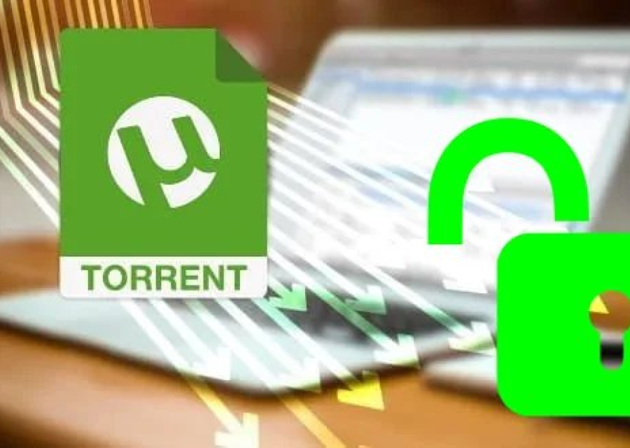 В Госдуме предлагают разблокировать торренты