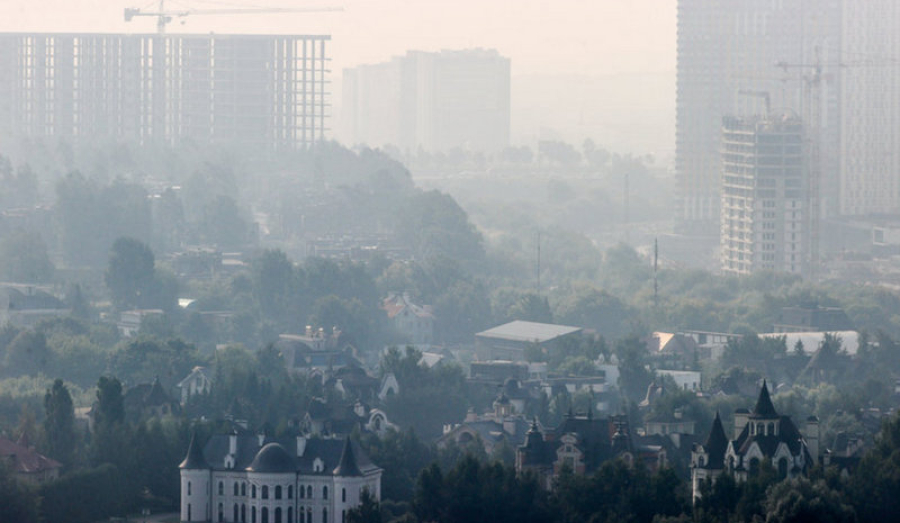 Смог в Талдомском округе и советы, которые помогут пережить последствия лесных пожаров