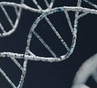 До чего дошла наука своими экспериментами с ДНК