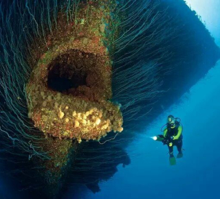 Тайны Мирового океана