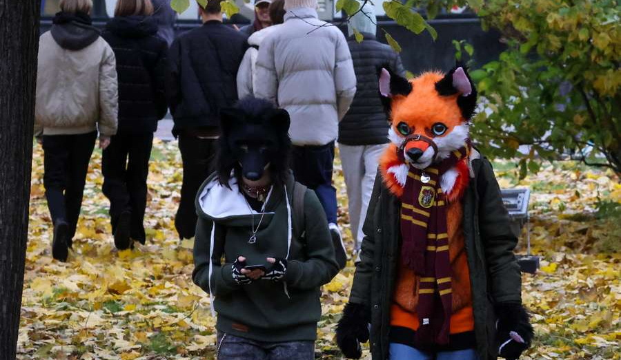 Квадроберы в законе