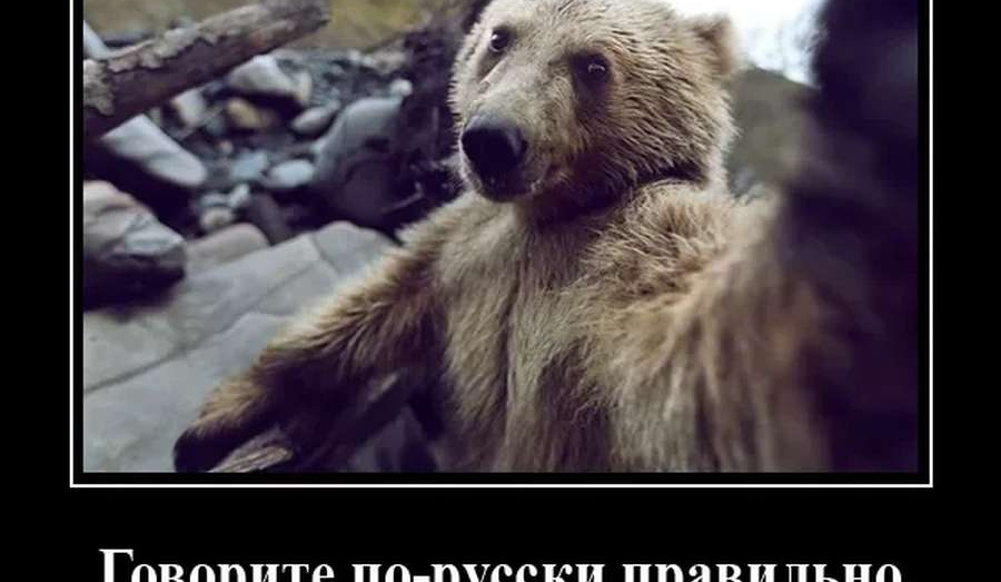 Топ англицизмов для замены на российский аналог