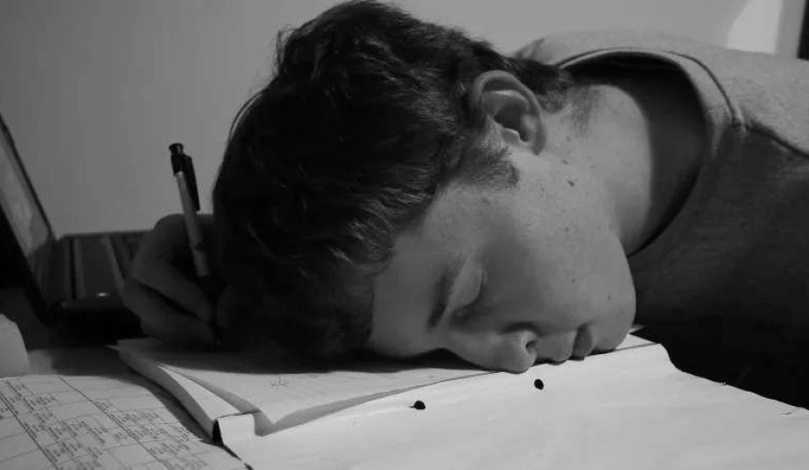 Госдума выработает предложения по домашним заданиям в школах России