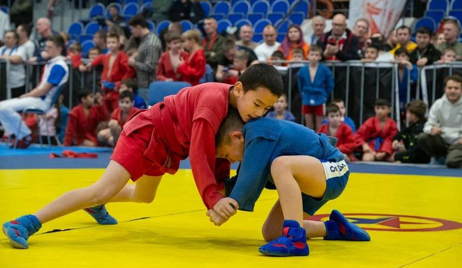 Турнир по самбо в Дубне