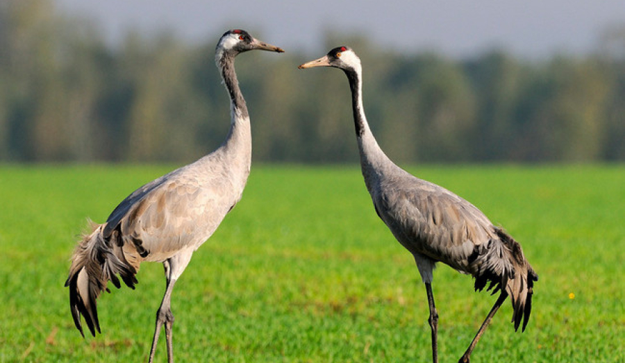 На севере Подмосковья появится первый в регионе природный парк