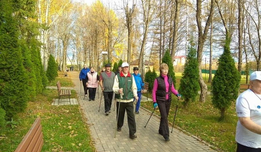 Скандинавская ходьба в Талдоме