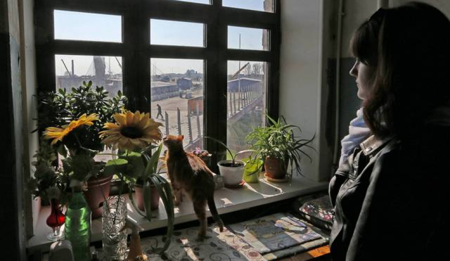 Законопроект против домашнего насилия