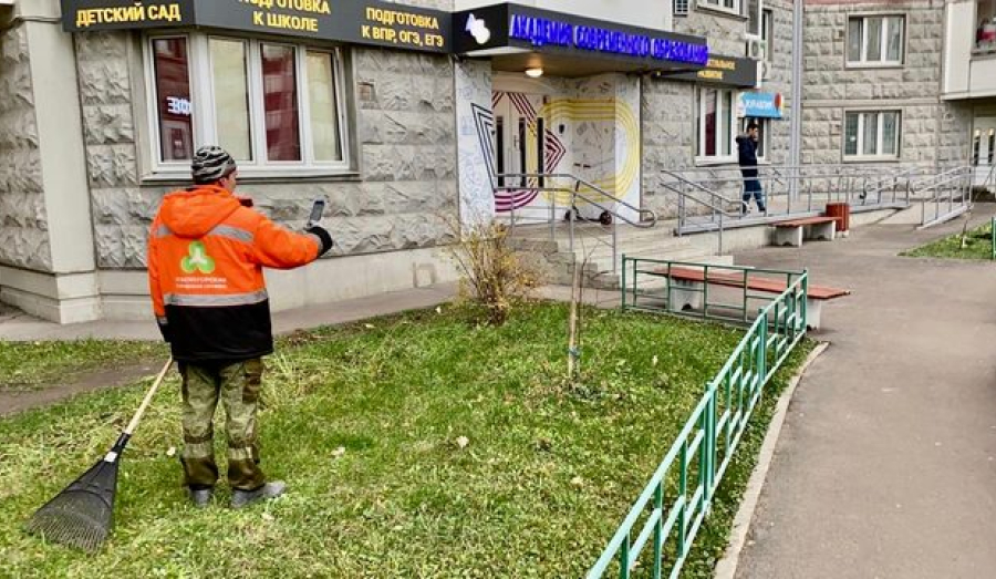 Смартфоны для дворников