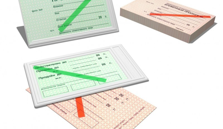 В Подмосковье вводят пропускной режим