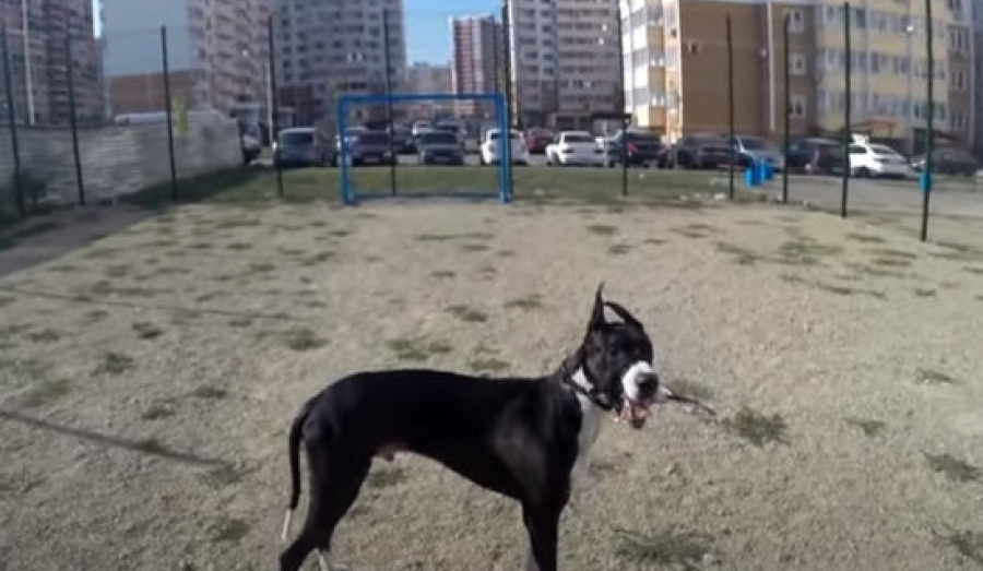 Новая статья КоАП