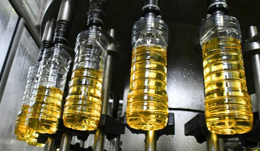 Российское продовольствие должно быть в Европе: в ЕС требуют снять запрет на экспорт