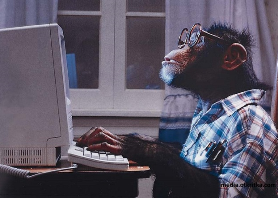 Что смотреть в Интернете, чтобы не отупеть