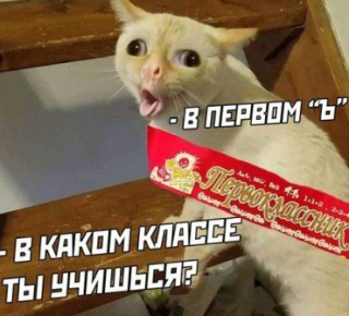 В российской школе создали 33 первых класса