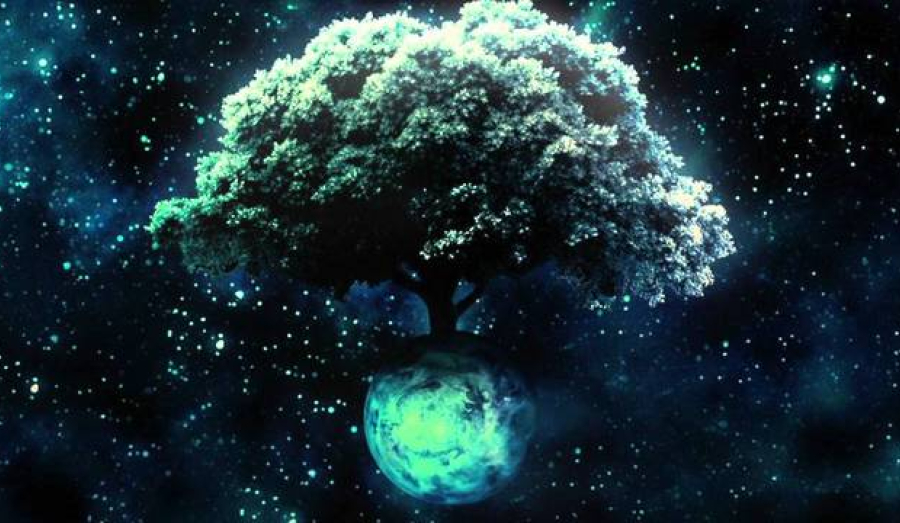 На орбите деревянные спутники