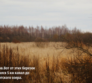 Фантастический путь или Венеция на болоте