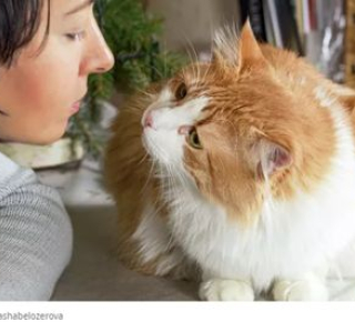 Понять и простить.